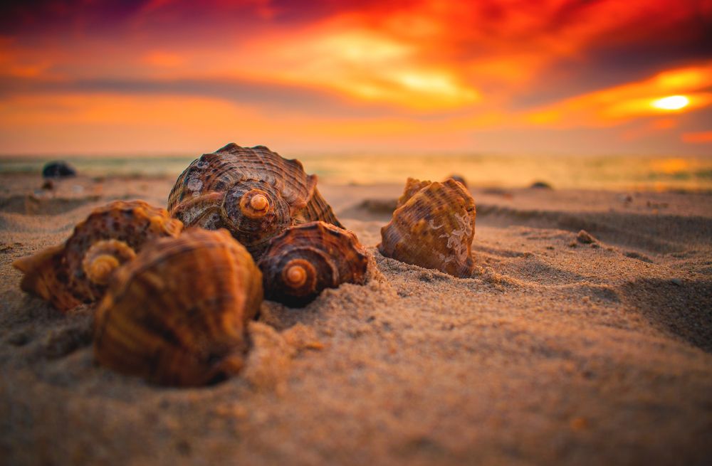 Закат на море