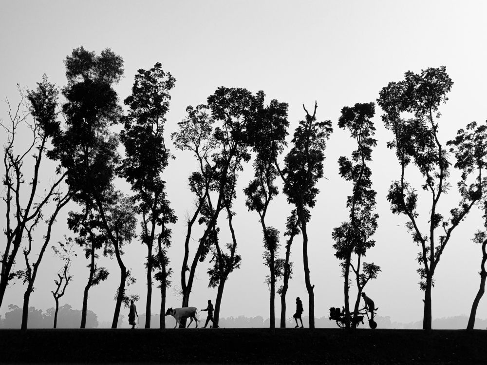 Rural Life