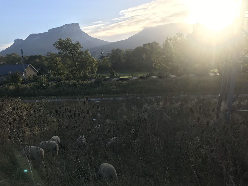 Photograph by Артур Пылаев