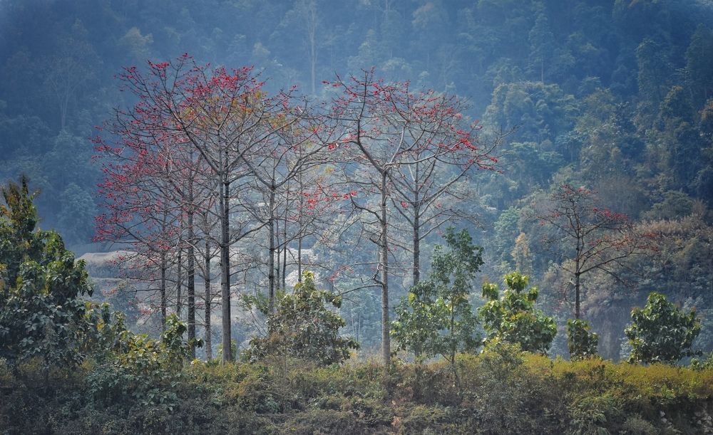 Photograph by Mainak Mondal