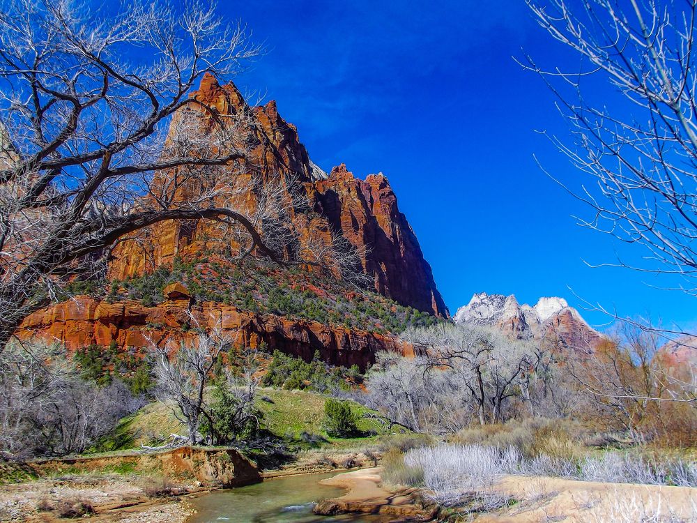 Zion national park