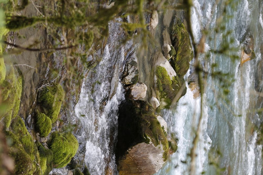 Photograph by Елена Буканина