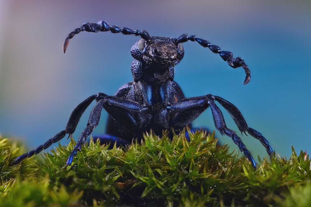 Photograph by Юрьевич Юрий