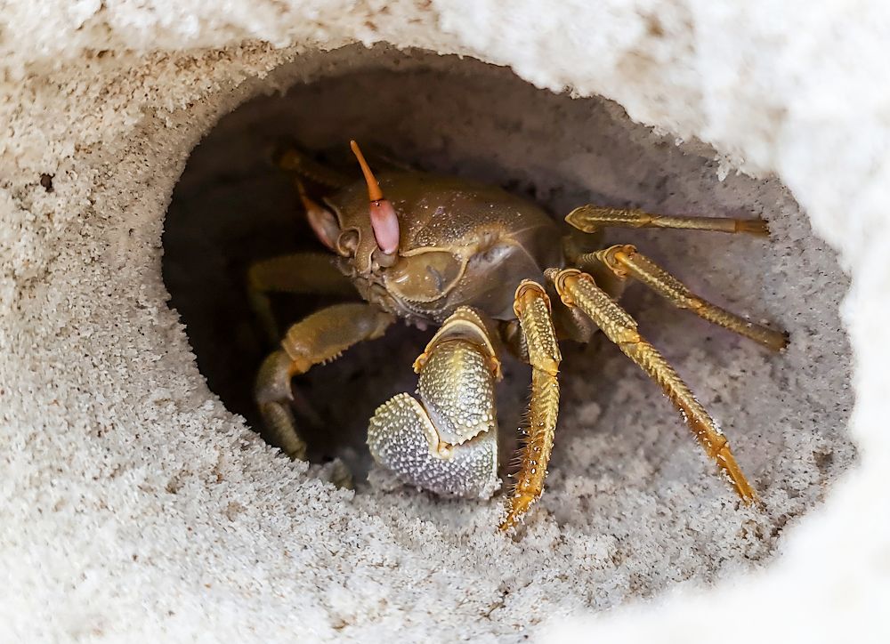 Photograph by Елена Бородич