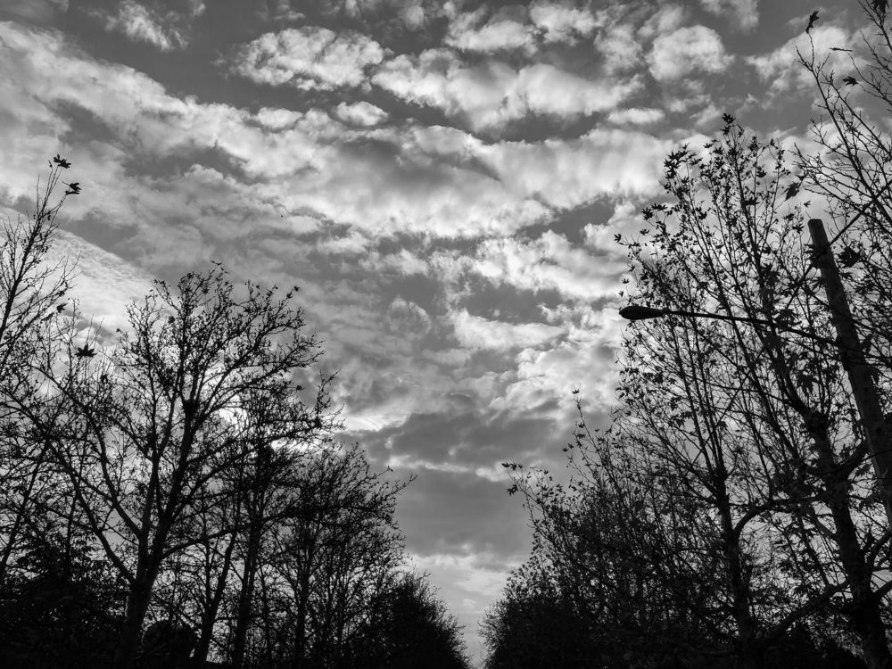 Фотография автора Faeze Eskandari