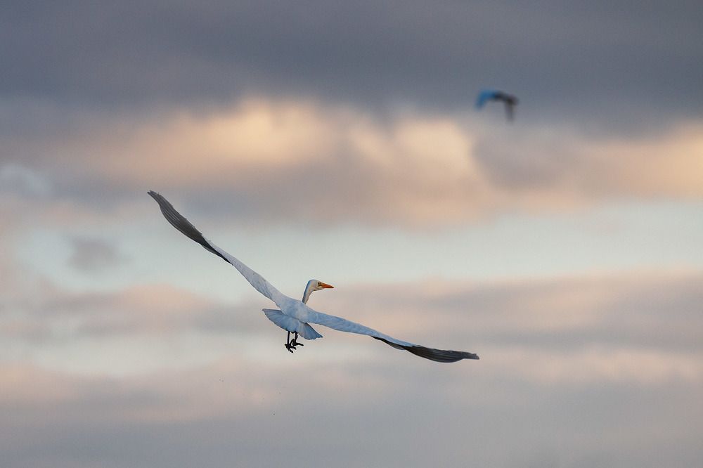 Photograph by Сергей Фадин