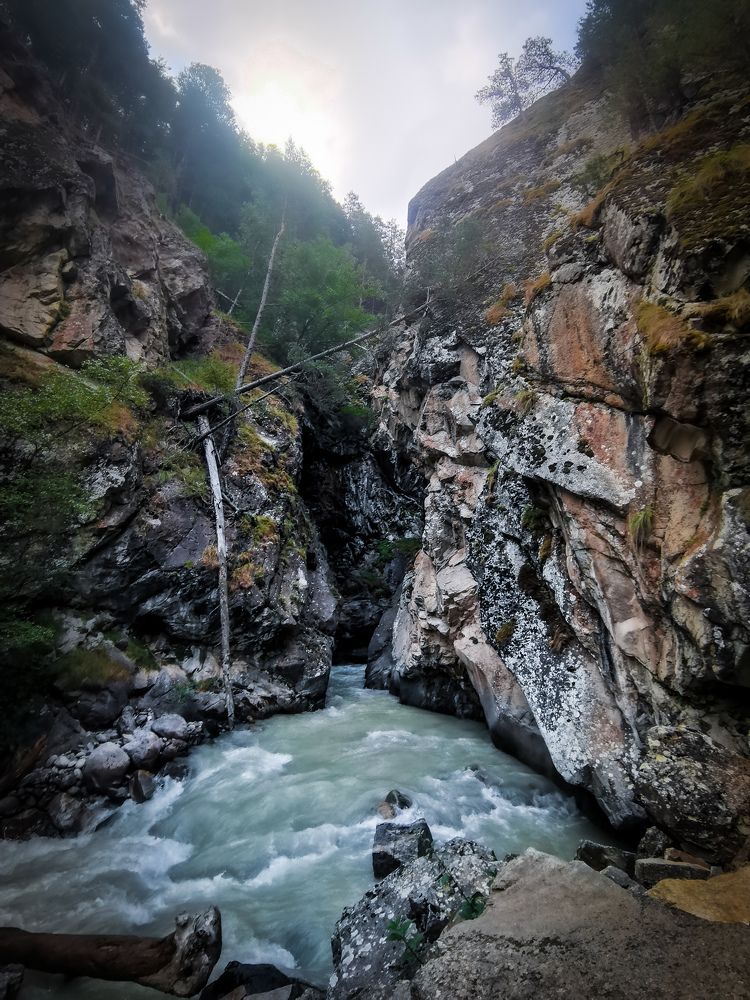 Фотография автора OXANA MARSOVA