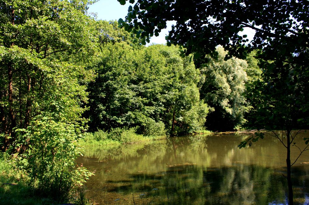 Photograph by Сергей Рапопорт