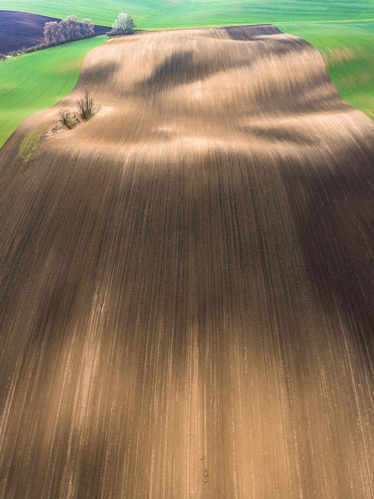 Photograph by Daniel Franc