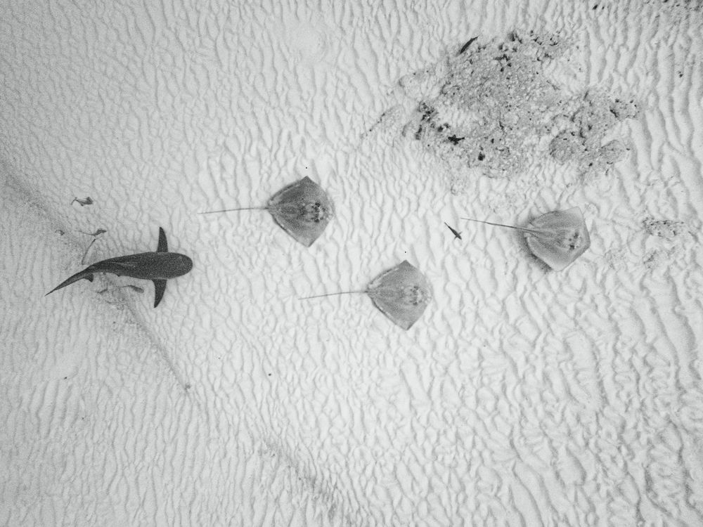 Photograph by Mizael Palomeque