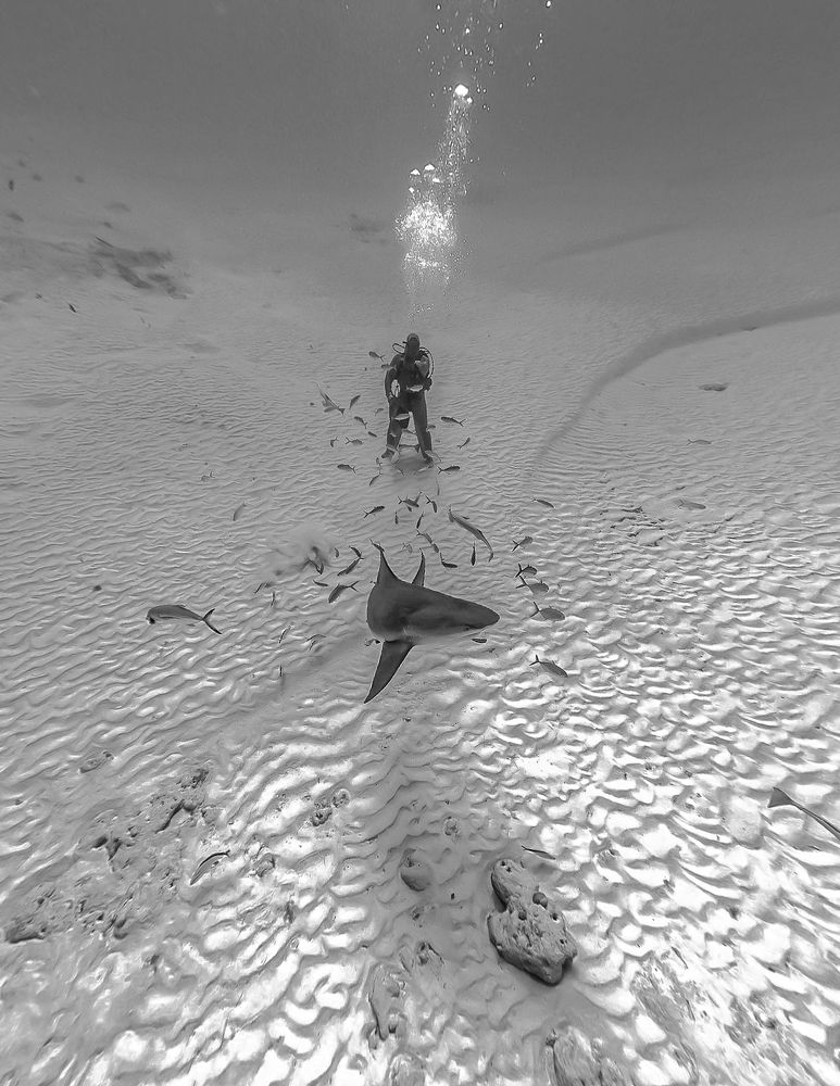 Photograph by Mizael Palomeque