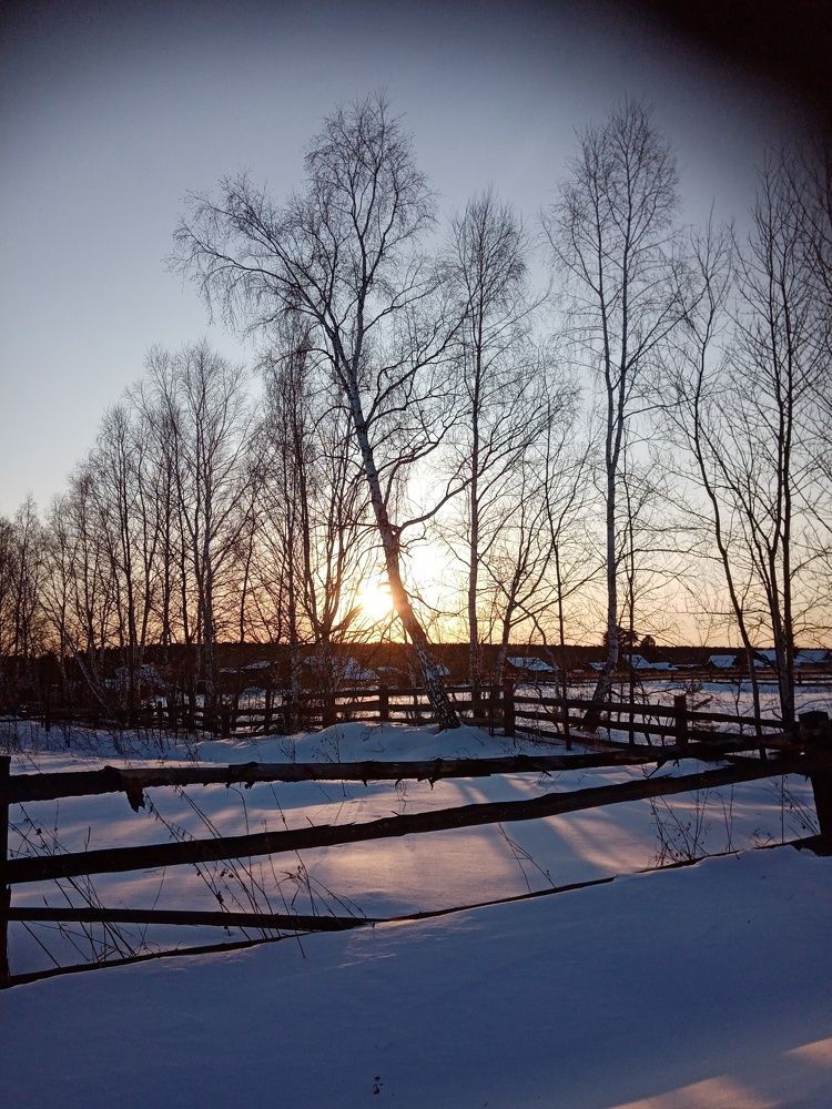 Photo #6033495