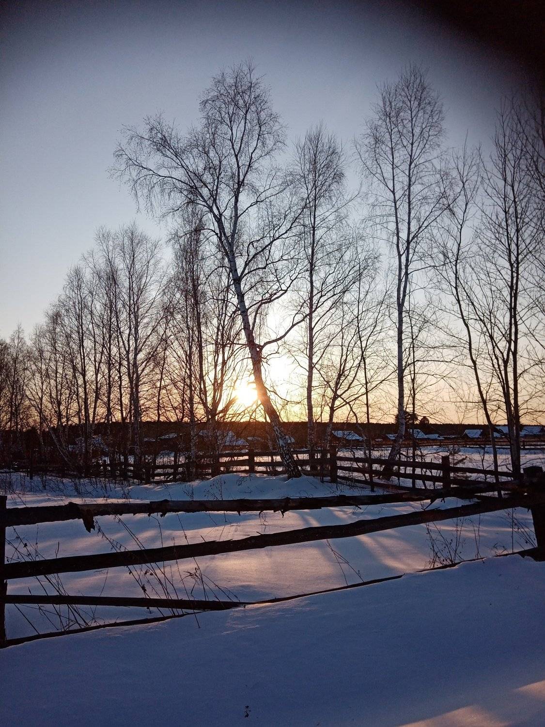 Photo #6033495