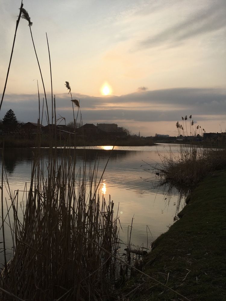 Фотография автора Назарова Ксения