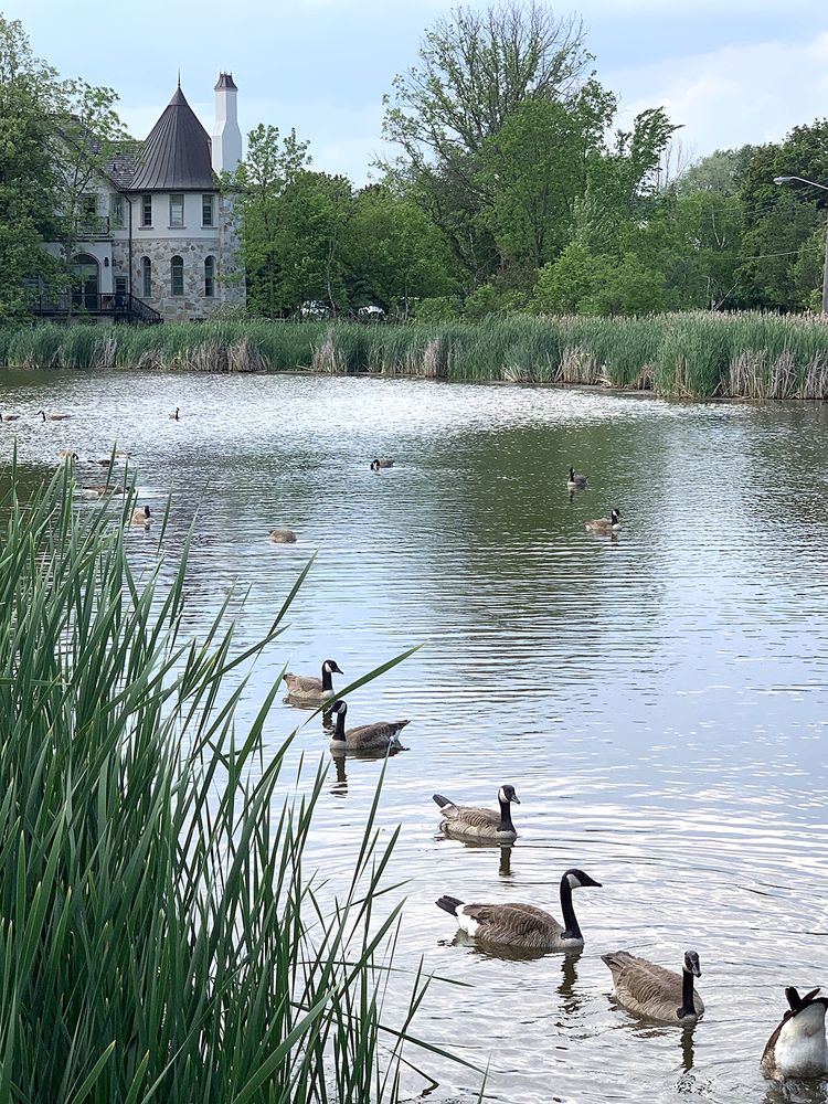 Photograph by Liliana Grup