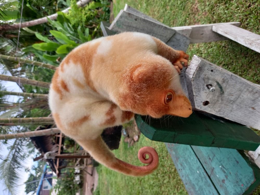 Photo #6033549
