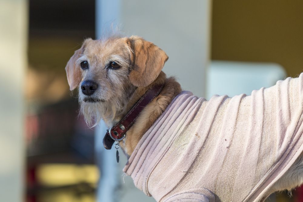 Photograph by samuel celegatti