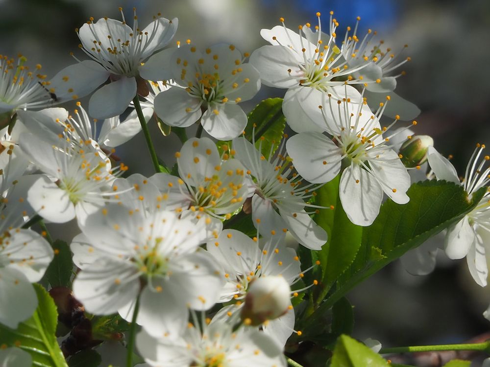 Photograph by Elena Khalizova