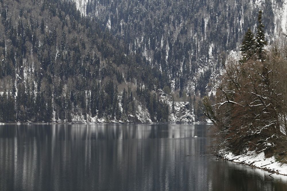 Photograph by Елена Буканина