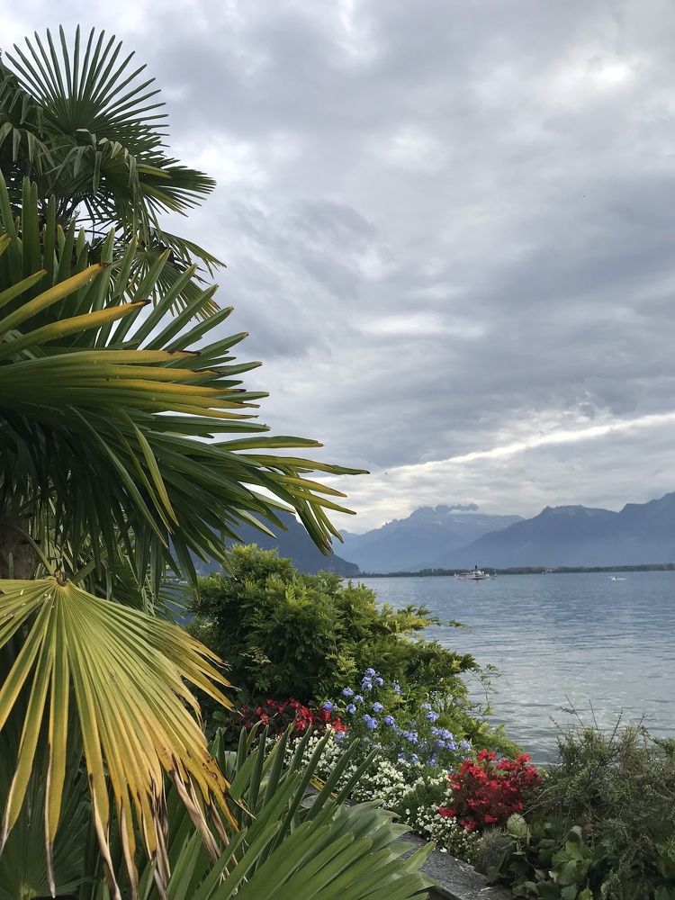 Photograph by Артур Пылаев