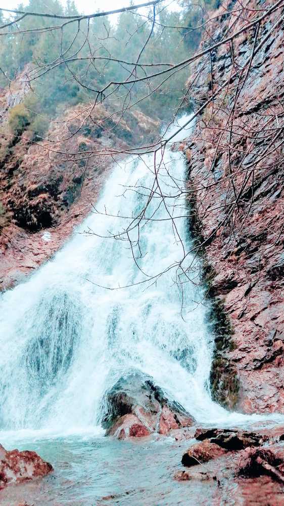 Photograph by Mila Gaziuc