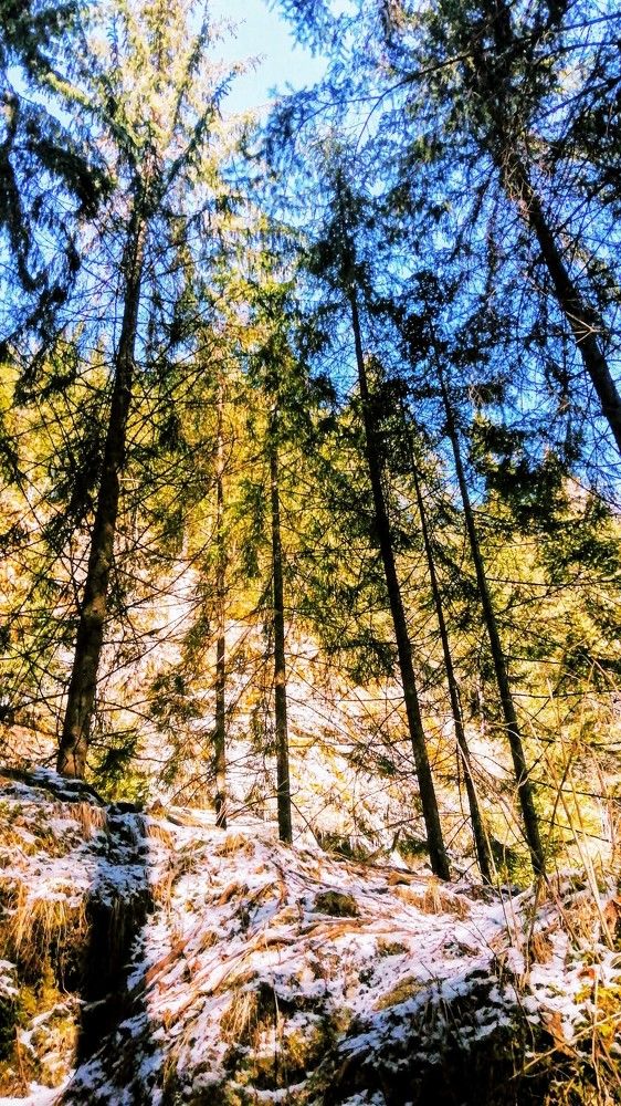 Photograph by Mila Gaziuc