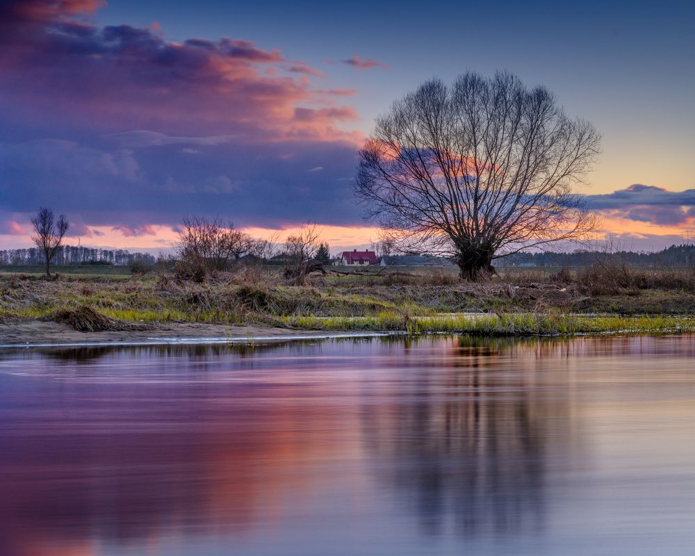 Photograph by Bartosz Skotnicki