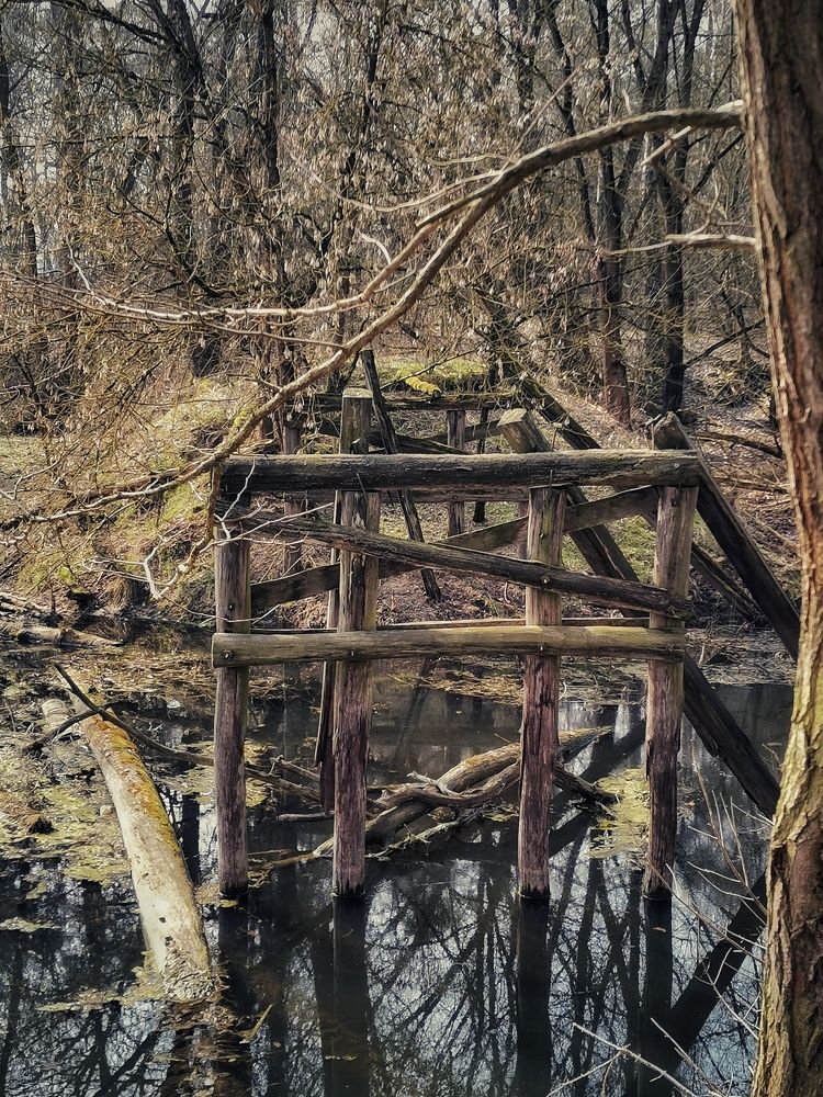 Photograph by Małgorzata Szymańska