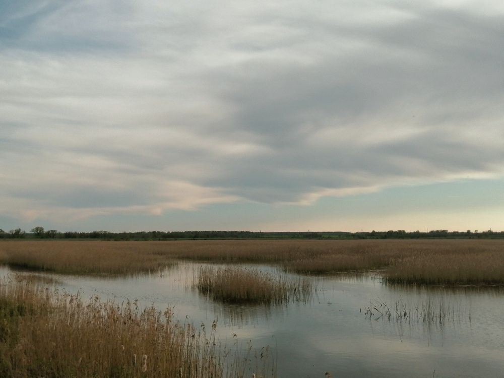 Photograph by Юлия Журавлёва