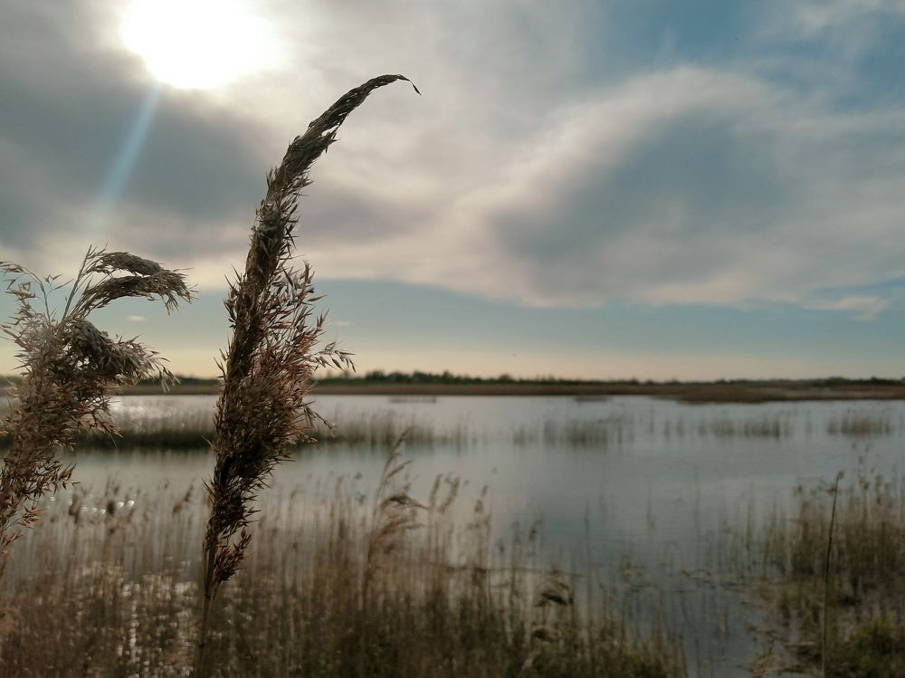 Photograph by Юлия Журавлёва