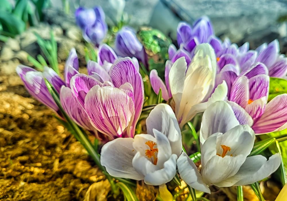 Photograph by Анна Кривицкая