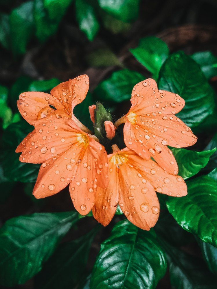 Photograph by Margaret Robert Bertram