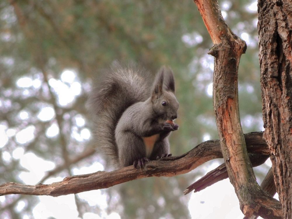 Photograph by Юлия Журавлёва