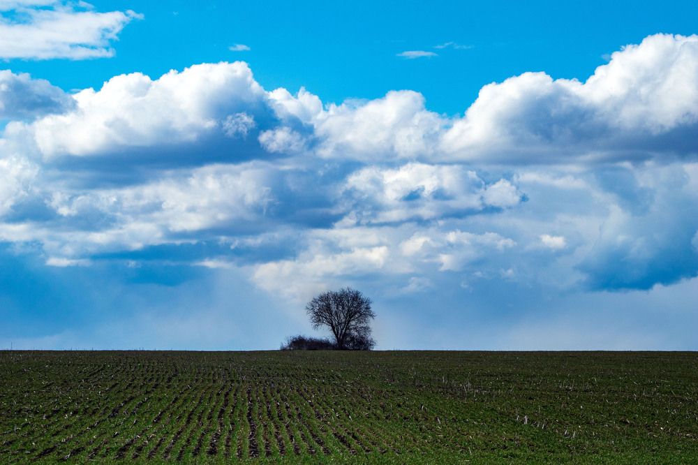 Photograph by Филипп Косенко