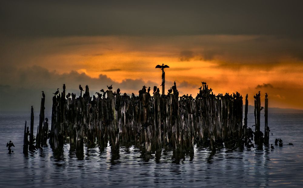 Photograph by Hadi Dehghanpour