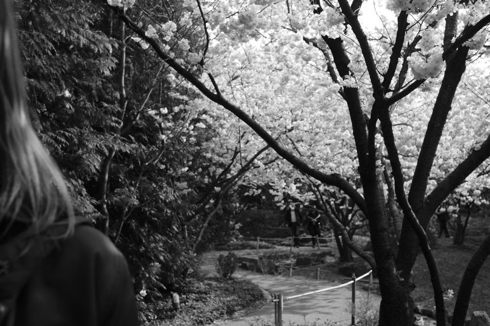 Photograph by jean-pierre damen