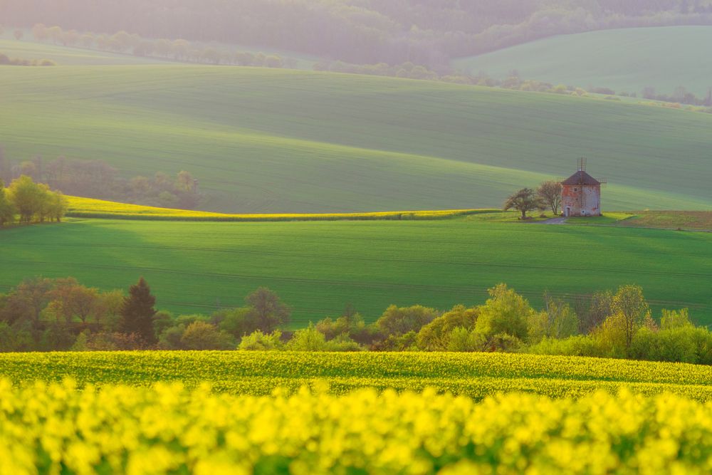 Photograph by Dariusz Budyta