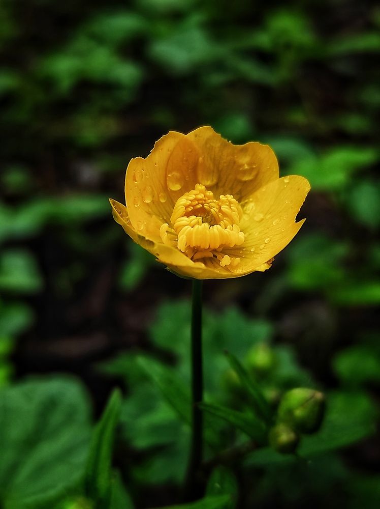 Photograph by Владимир Караман