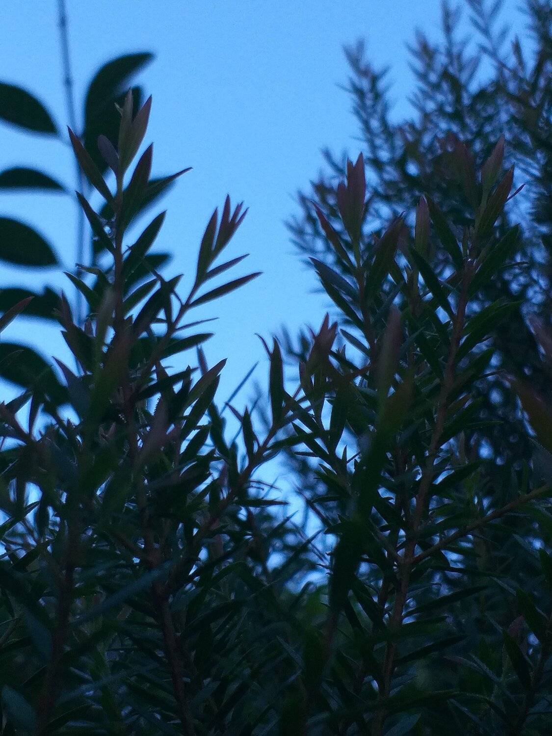 Photo #6034212