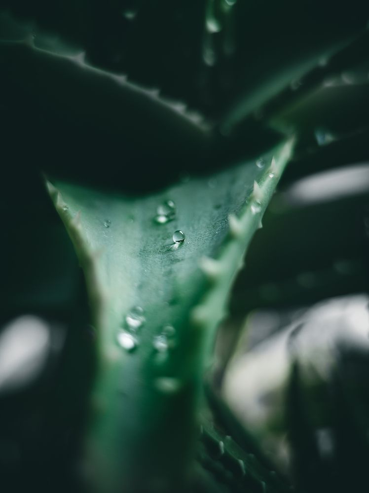 A little waterdrop that disparted from ocean
