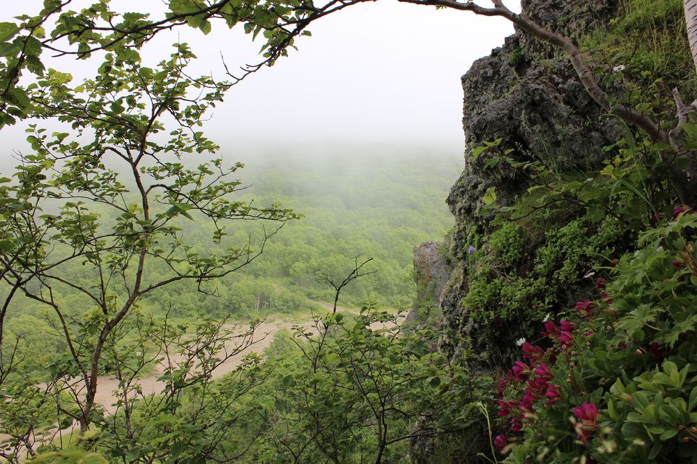 Photograph by Кристина Сомова