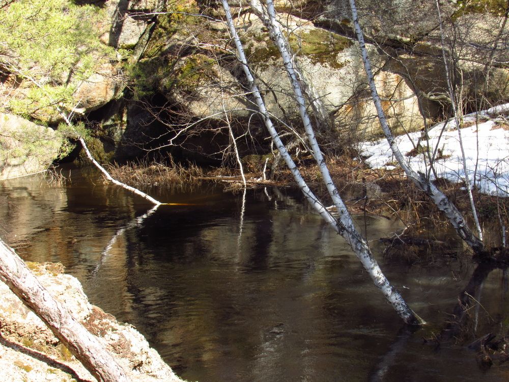 Photograph by Марина Савченко