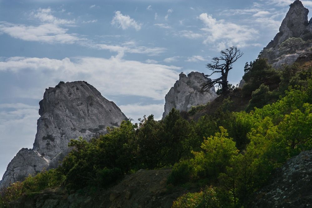 Photograph by AlyaLeta