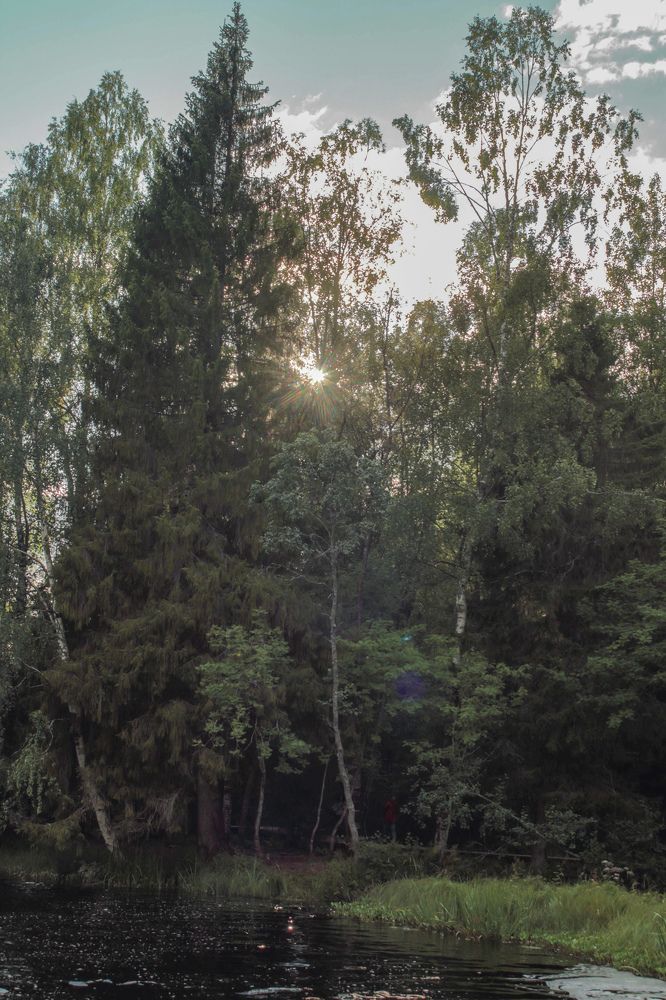Photograph by Ольга Степанова