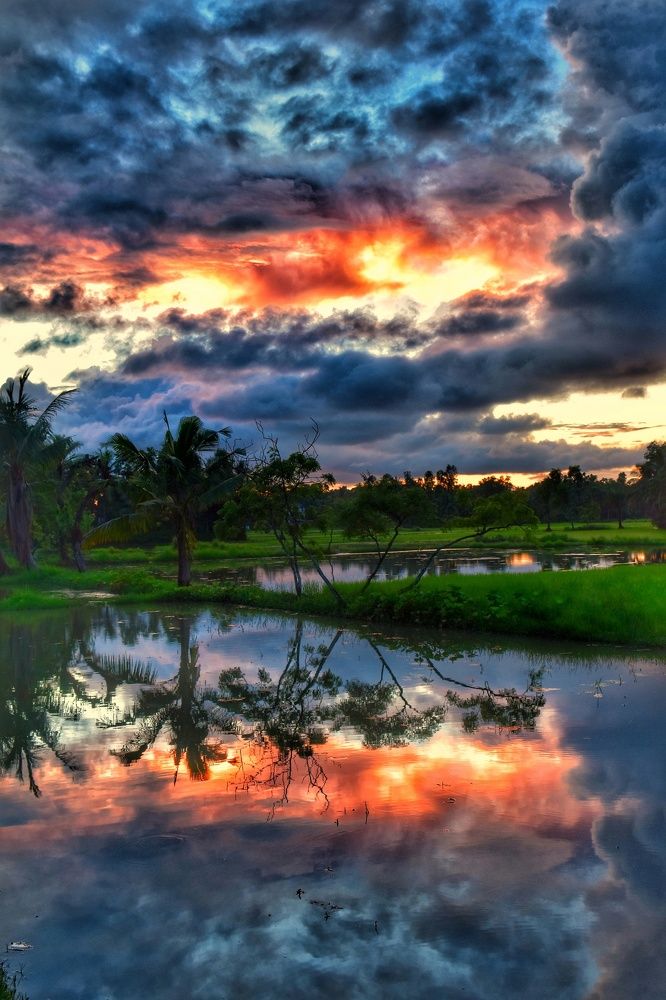 Photograph by Mainak Mondal