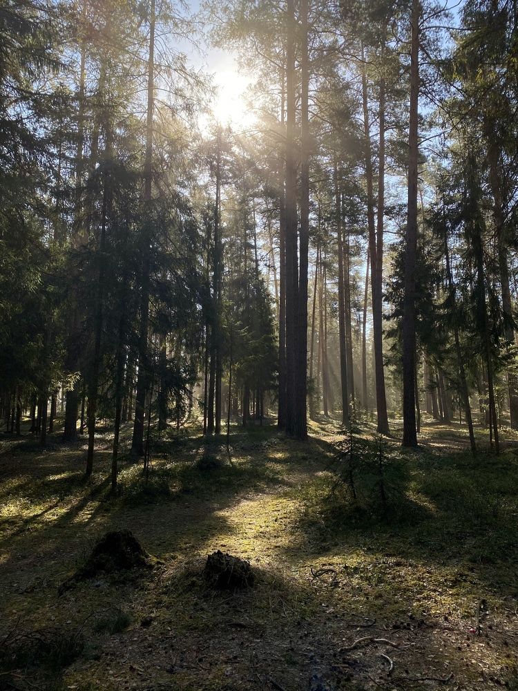 Фотография автора Ольга Горюнова