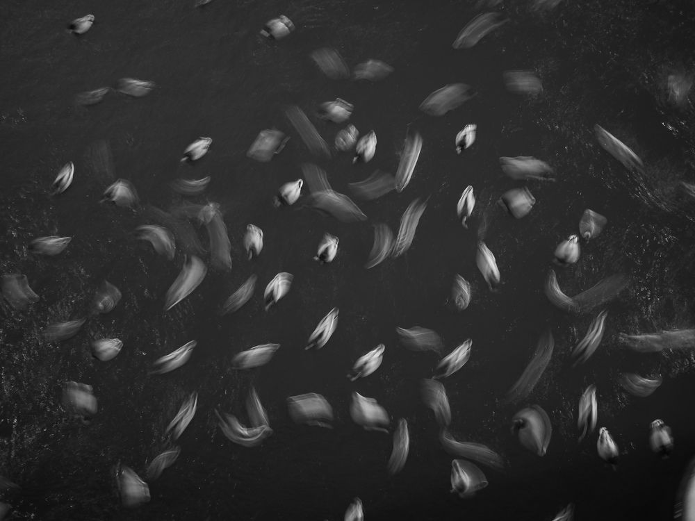 Фотография автора Надежда Кулявова