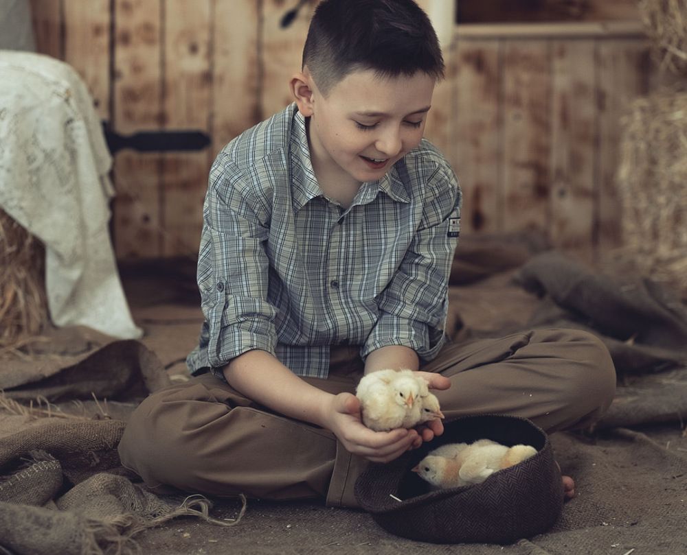 Любовь и дружба