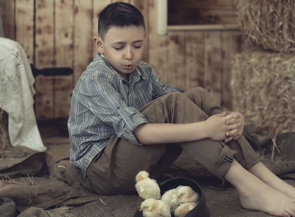 Дружба и забота