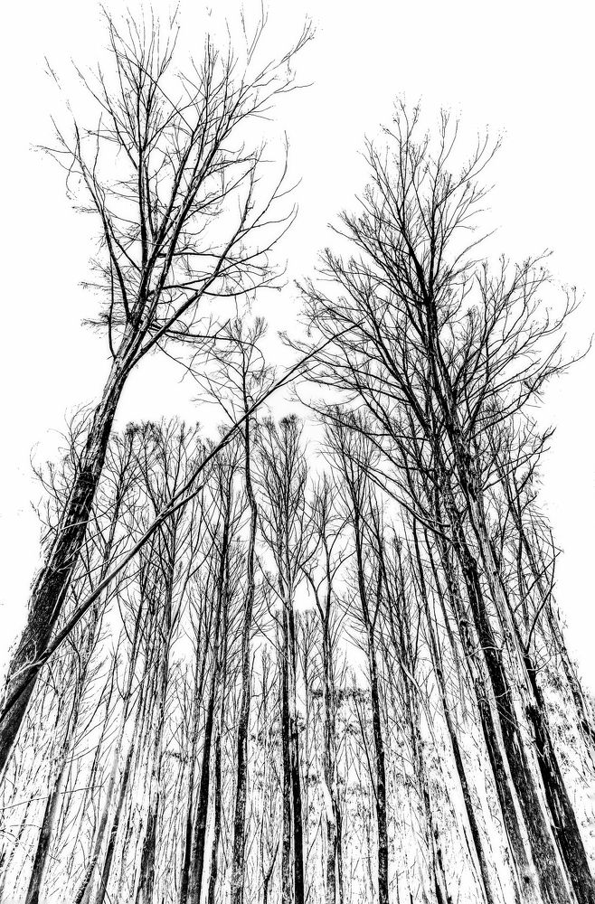 Photograph by Louise Richards